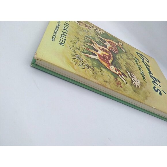 Vtg Dandelion Library double book Bambi's Children & Old Rosie stories HC - Picture 11 of 11